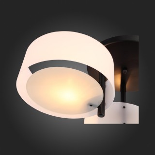 SL483.402.03 Люстра потолочная Черный/Белый E27 3*60W FORESTA-foto3