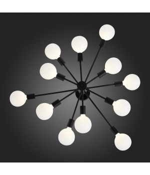 SL419.402.12 Люстра потолочная Черный E27 12*60W ANO-foto8