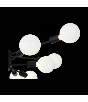 SL419.402.12 Люстра потолочная Черный E27 12*60W ANO-foto23