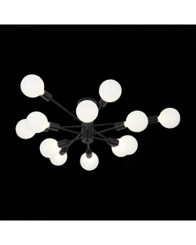 SL419.402.12 Люстра потолочная Черный E27 12*60W ANO-foto21