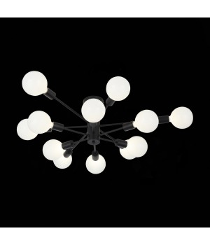 SL419.402.12 Люстра потолочная Черный E27 12*60W ANO-foto21