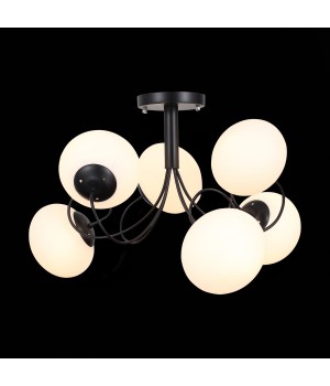 SL717.402.06 Люстра потолочная Черный/Белый E27 6*40W ACINI-foto3