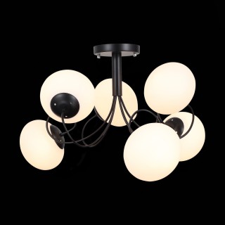 SL717.402.06 Люстра потолочная Черный/Белый E27 6*40W ACINI-foto3