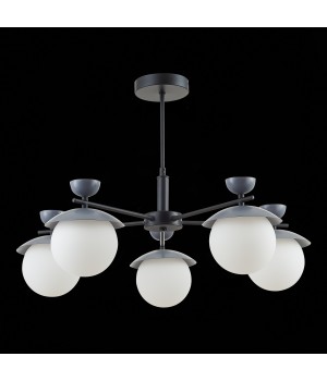 SLE220202-05 Светильник потолочный Черный, Серый/Белый G9 5*5W GENOVA-foto5