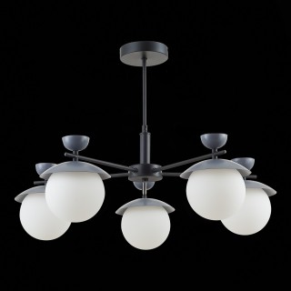 SLE220202-05 Светильник потолочный Черный, Серый/Белый G9 5*5W GENOVA-foto5