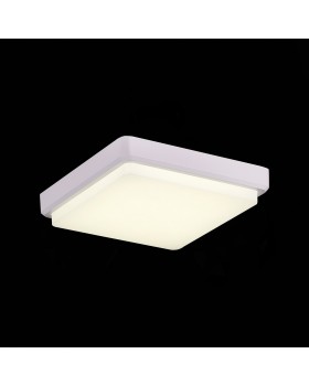 SLE200212-01 Светильник потолочный Белый/Белый LED 1*20W 4000K TADDIO-foto4