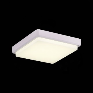 SLE200212-01 Светильник потолочный Белый/Белый LED 1*20W 4000K TADDIO-foto4