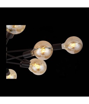 SL419.402.12 Люстра потолочная Черный E27 12*60W ANO-foto12