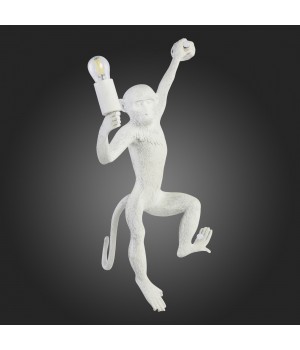 SLE115111-01 Светильник настенный Белый E27 1*60W TENATO-foto8