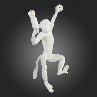 SLE115111-01 Светильник настенный Белый E27 1*60W TENATO-foto8