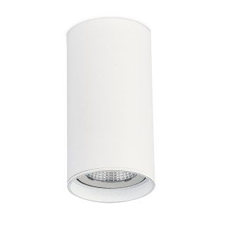 ST157.542.15 Светильник потолочный Белый LED 1*15W 4000K 1 200Lm Ra>90 60° IP44 D75xH140 220-265V Накладные светильники-foto2