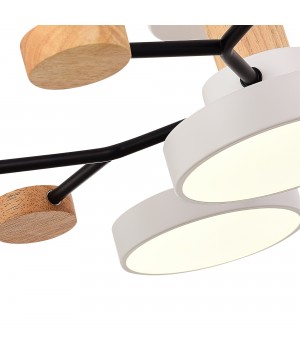 SLE6006-502-05 Светильник потолочный Белый/Белый LED 5*12W 3000K/4500K/6000K FAEMA-foto5