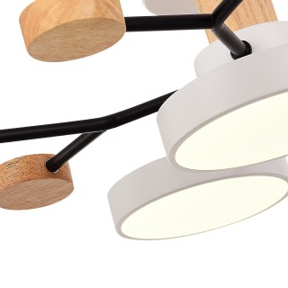 SLE6006-502-05 Светильник потолочный Белый/Белый LED 5*12W 3000K/4500K/6000K FAEMA-foto5