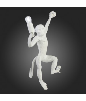 SLE115111-01 Светильник настенный Белый E27 1*60W TENATO-foto7