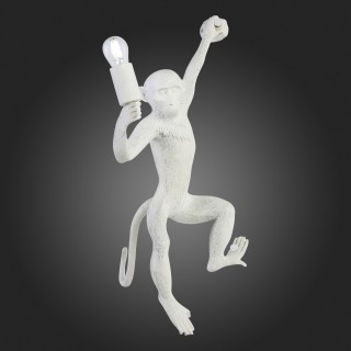 SLE115111-01 Светильник настенный Белый E27 1*60W TENATO-foto7