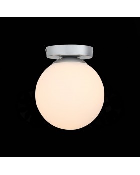 SL717.501.01 Светильник настенно-потолочный Серебристый/Белый E27 1*40W ACINI-foto3