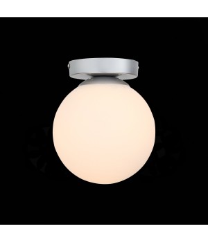 SL717.501.01 Светильник настенно-потолочный Серебристый/Белый E27 1*40W ACINI-foto3