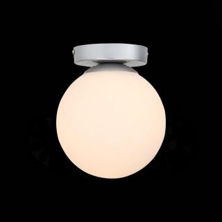 SL717.501.01 Светильник настенно-потолочный Серебристый/Белый E27 1*40W ACINI-foto3