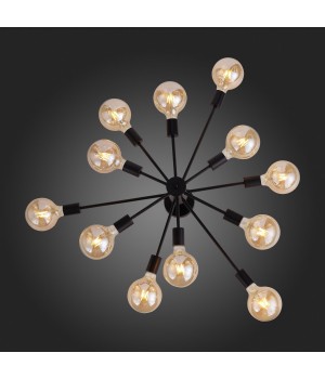 SL419.402.12 Люстра потолочная Черный E27 12*60W ANO-foto24