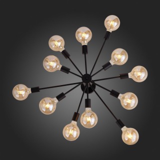 SL419.402.12 Люстра потолочная Черный E27 12*60W ANO-foto24