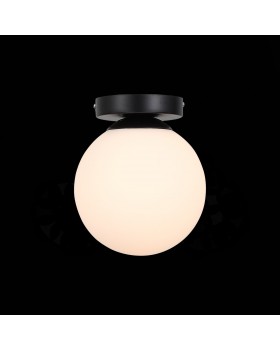 SL717.401.01 Светильник настенно-потолочный Черный/Белый E27 1*40W ACINI-foto3