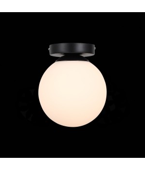 SL717.401.01 Светильник настенно-потолочный Черный/Белый E27 1*40W ACINI-foto3