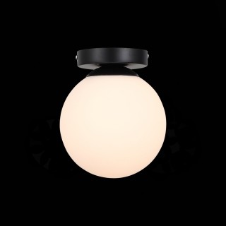 SL717.401.01 Светильник настенно-потолочный Черный/Белый E27 1*40W ACINI-foto3