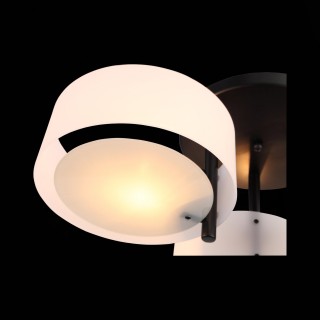 SL483.402.03 Люстра потолочная Черный/Белый E27 3*60W FORESTA-foto7