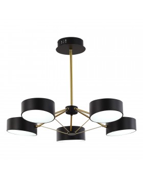 SLE6005-402-05 Светильник потолочный Черный/Черный LED 5*10W VALLE-foto3