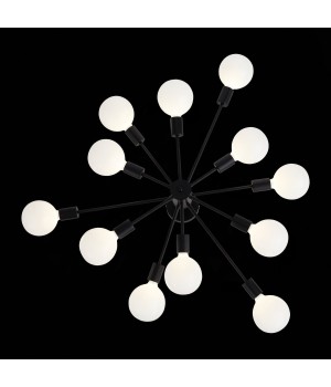 SL419.402.12 Люстра потолочная Черный E27 12*60W ANO-foto14