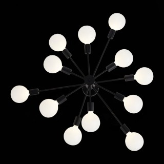 SL419.402.12 Люстра потолочная Черный E27 12*60W ANO-foto14