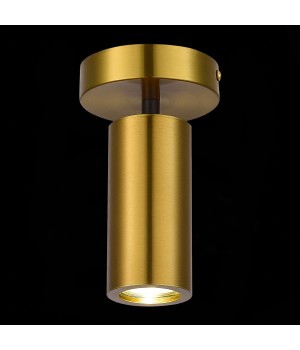 SL1215.402.01 Светильник потолочный ST-Luce Черный, Латунь/Латунь GU10 1*5W 4000K TALIA-foto3