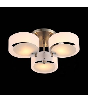 SL483.352.03 Светильник потолочный Бронза/Белый E27 3*60W FORESTA-foto8