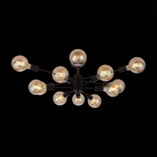 SL419.402.12 Люстра потолочная Черный E27 12*60W ANO-foto3