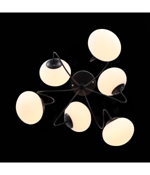 SL717.402.06 Люстра потолочная Черный/Белый E27 6*40W ACINI-foto4