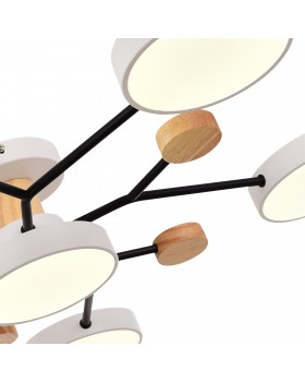 SLE6006-502-06 Светильник потолочный Белый/Белый LED 6*12W 3000K/4500K/6000K FAEMA-foto5