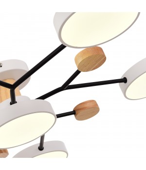 SLE6006-502-06 Светильник потолочный Белый/Белый LED 6*12W 3000K/4500K/6000K FAEMA-foto5