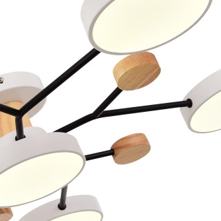 SLE6006-502-06 Светильник потолочный Белый/Белый LED 6*12W 3000K/4500K/6000K FAEMA-foto5