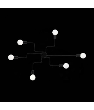 SL419.442.06 Люстра потолочная Черный E27 6*60W ANO-foto25