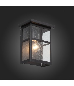 SL079.401.01 Светильник уличный настенный ST-Luce Темный кофе/Прозрачное кракелированное стекло E27 1*60W GLAZGO-foto5