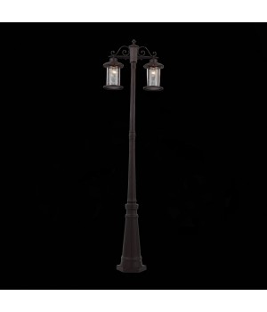 SL080.425.02 Светильник уличный наземный ST-Luce Темный кофе/Прозрачный, Темный кофе E27 2*100W LASTERO-foto8