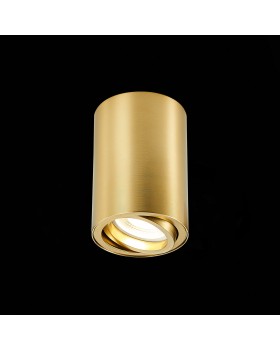 ST108.207.01 Светильник потолочный Золотистый GU10 1*50W IP20 D70xH100 220V Без ламп TORUS-foto3