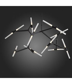 SL947.402.20 Люстра потолочная ST-Luce Черный/Белый G9 20*5W LACONICITA-foto15