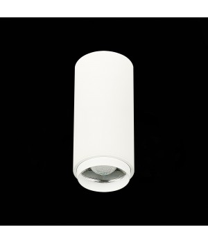 ST600.542.10 Светильник потолочный Zoom Белый LED 1*10W 4000K 1 000Lm Ra>80 15-60° IP20 D59xH130 170-240VV ZOOM-foto4