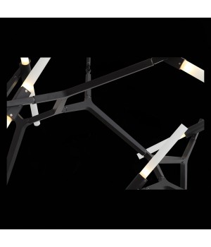 SL947.402.20 Люстра потолочная ST-Luce Черный/Белый G9 20*5W LACONICITA-foto8