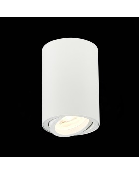 ST108.507.01 Светильник потолочный Мат. белый GU10 1*50W D70xH100 220V Без ламп TORUS-foto3