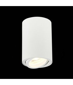 ST108.507.01 Светильник потолочный Мат. белый GU10 1*50W D70xH100 220V Без ламп TORUS-foto3