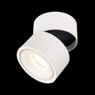 ST652.532.12 Светильник потолочный Белый LED 1*12W 3000K 1 000Lm Ra>90 36° IP20 D100xH105 170-240V ST652-foto4