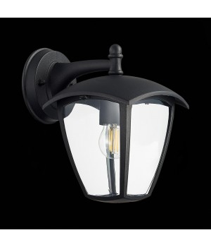 SL081.411.01 Светильник уличный настенный ST-Luce Черный/Черный, Прозрачный E27 1*40W SIVINO-foto5