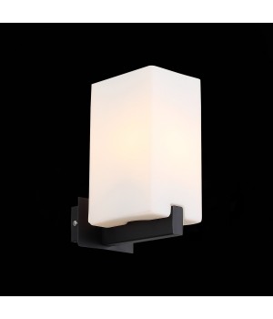 SL541.401.01 Бра ST-Luce Черный/Белый E27 1*40W CASET-foto4